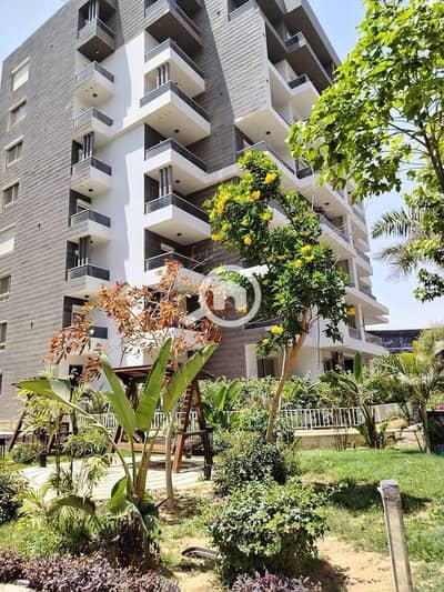 3 Bedroom Apartment for Sale in New Capital City, Cairo - WhatsApp Image 2026-07-01 at 12.29. 54 PM (5). jpeg 3 Bedroom Apartment for Sale in New Capital City, Cairo - WhatsApp Image 2026-07-01 at 12.29. 54 PM (5). jpeg