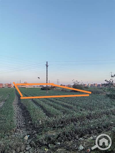 Agricultural Land for Sale in Zagazig, Sharqia - 361792. jpg Agricultural Land for Sale in Zagazig, Sharqia - 361792. jpg