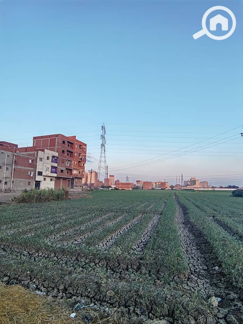 3 361787. jpg