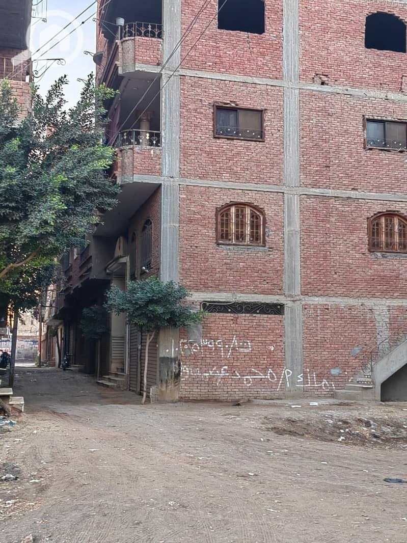 4 361784. jpg