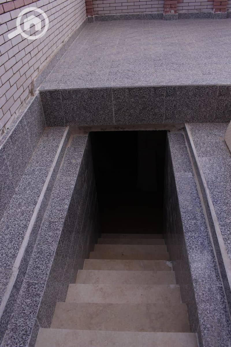6 1000213978. jpg