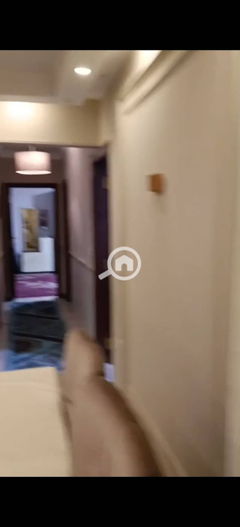 10 278839. jpg