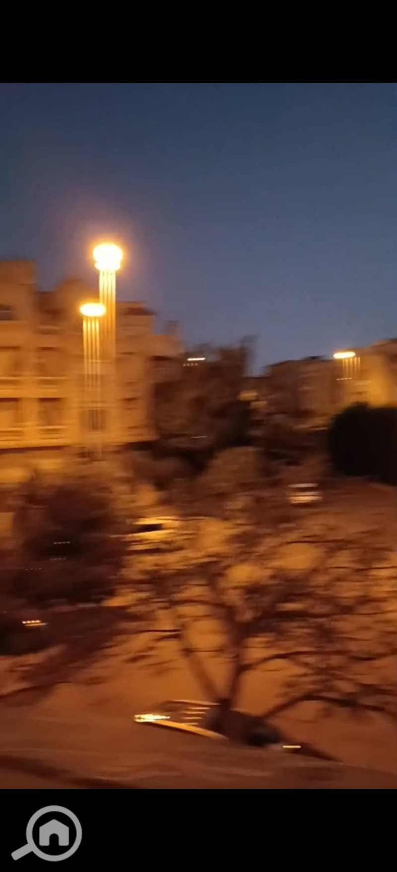 13 278838. jpg