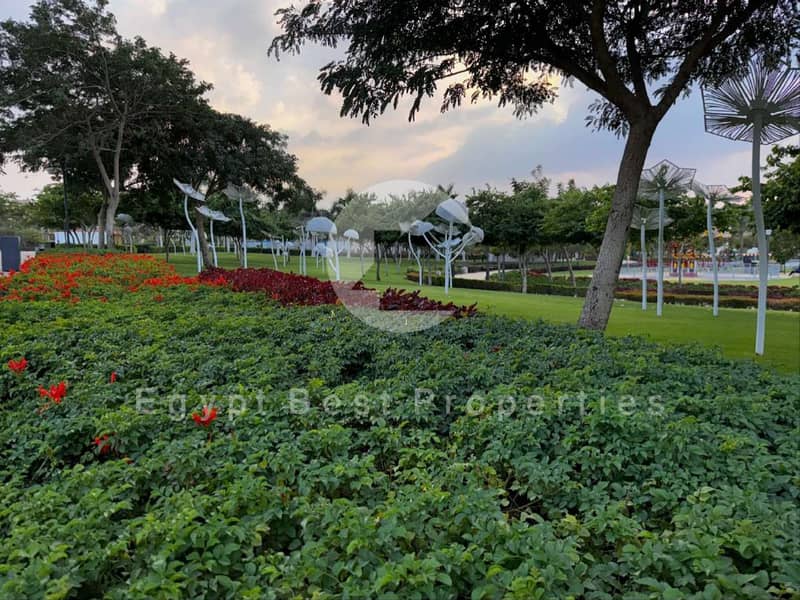 6 Zed West El-Sheikh Zayed Live Photos 2025_page-0058. jpg