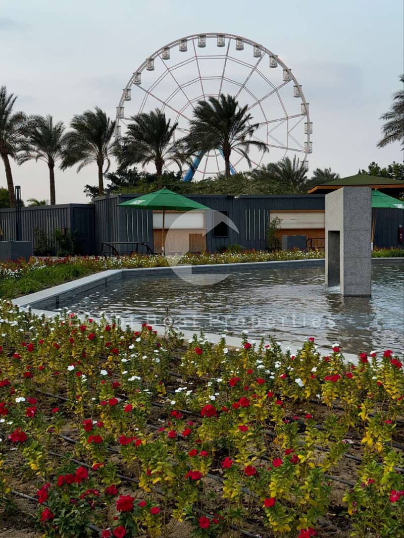 7 Zed West El-Sheikh Zayed Live Photos 2025_page-0059. jpg