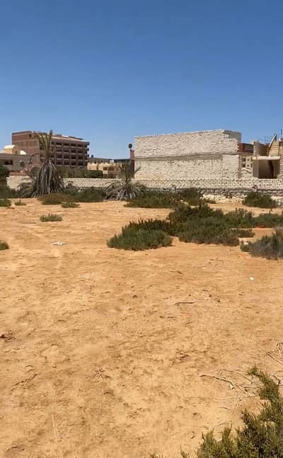 Land for Sale in Marsa Matrouh, Matruh - Obayed land Marsa Matrouh for Sale Land for Sale in Marsa Matrouh, Matruh - Obayed land Marsa Matrouh for Sale
