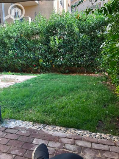 3 Bedroom Apartment for Rent in Sheikh Zayed, Giza - 1000529097. jpg 3 Bedroom Apartment for Rent in Sheikh Zayed, Giza - 1000529097. jpg