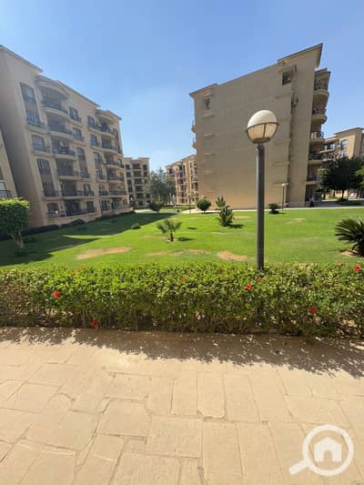 1 Bedroom Hotel Apartment for Rent in New Cairo, Cairo - 1000055391. jpg 1 Bedroom Hotel Apartment for Rent in New Cairo, Cairo - 1000055391. jpg
