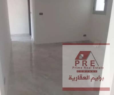 2 Bedroom Apartment for Rent in Smoha, Alexandria - sdfgy. png