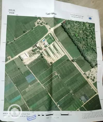 Agricultural Land for Sale in Mansuriyya, Giza - WhatsApp Image 4. jpeg Agricultural Land for Sale in Mansuriyya, Giza - WhatsApp Image 4. jpeg