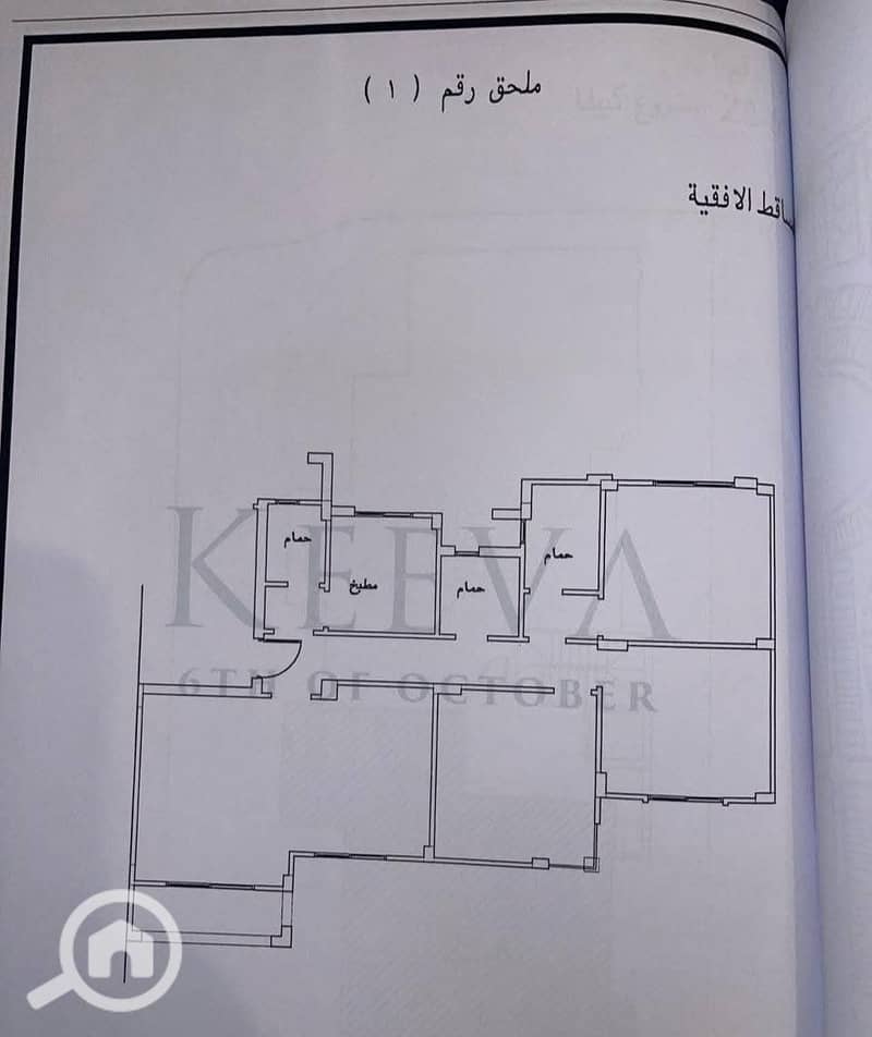 4 1000068789. jpg