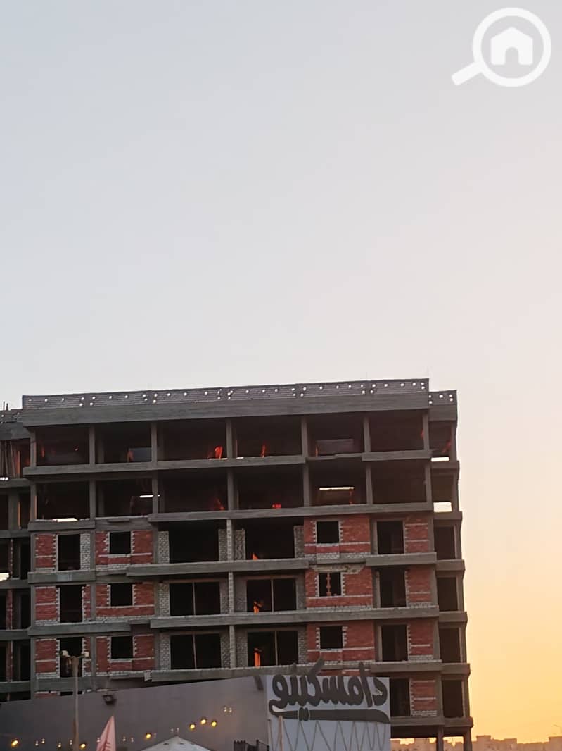 4 52466. jpg