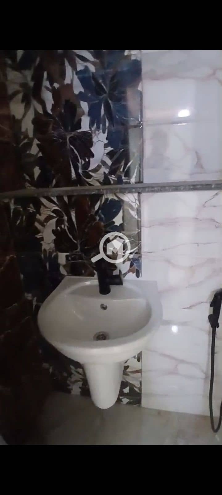 5 1000383528. jpg