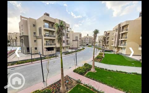 شقة 4 غرف نوم للبيع في القاهرة الجديدة، القاهرة - 1000457879. jpg