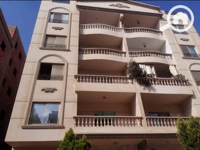 3 Bedroom Apartment for Rent in New Cairo, Cairo - WhatsApp Image 2026-07-14 at 11.36. 15 AM (3). jpeg 3 Bedroom Apartment for Rent in New Cairo, Cairo - WhatsApp Image 2026-07-14 at 11.36. 15 AM (3). jpeg