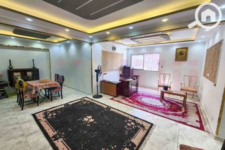3 Bedroom Flat for Rent in Smoha, Alexandria - WhatsApp Image 2026-07-07 at 12.14. 16. jpg 3 Bedroom Flat for Rent in Smoha, Alexandria - WhatsApp Image 2026-07-07 at 12.14. 16. jpg