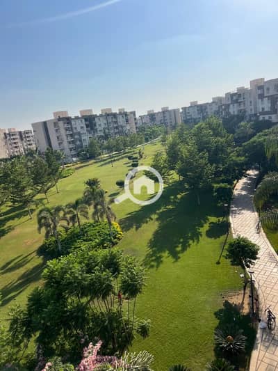 3 Bedroom Flat for Rent in Madinaty, Cairo - a1f606bd-545c-4ccb-a952-453c4b74fb8b. jpeg 3 Bedroom Flat for Rent in Madinaty, Cairo - a1f606bd-545c-4ccb-a952-453c4b74fb8b. jpeg