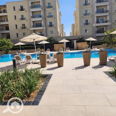 3 Bedroom Flat for Rent in New Cairo, Cairo - 1000364378. jpg