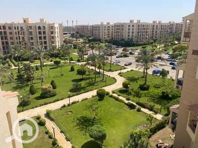 2 Bedroom Flat for Rent in New Cairo, Cairo - WhatsApp Image 2026-07-14 at 14.39. 51 (2). jpeg