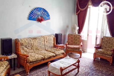 2 Bedroom Apartment for Rent in Smoha, Alexandria - WhatsApp Image 2026-07-08 at 14.12. 03. jpg 2 Bedroom Apartment for Rent in Smoha, Alexandria - WhatsApp Image 2026-07-08 at 14.12. 03. jpg