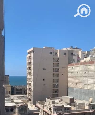 3 Bedroom Apartment for Rent in Camp Caesar, Alexandria - 1000235244. jpg 3 Bedroom Apartment for Rent in Camp Caesar, Alexandria - 1000235244. jpg