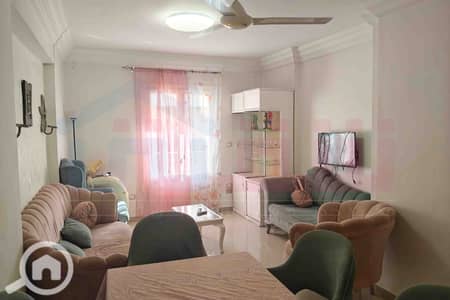 2 Bedroom Apartment for Rent in Zizinia, Alexandria - WhatsApp Image 2026-07-08 at 13.56. 11. jpg 2 Bedroom Apartment for Rent in Zizinia, Alexandria - WhatsApp Image 2026-07-08 at 13.56. 11. jpg