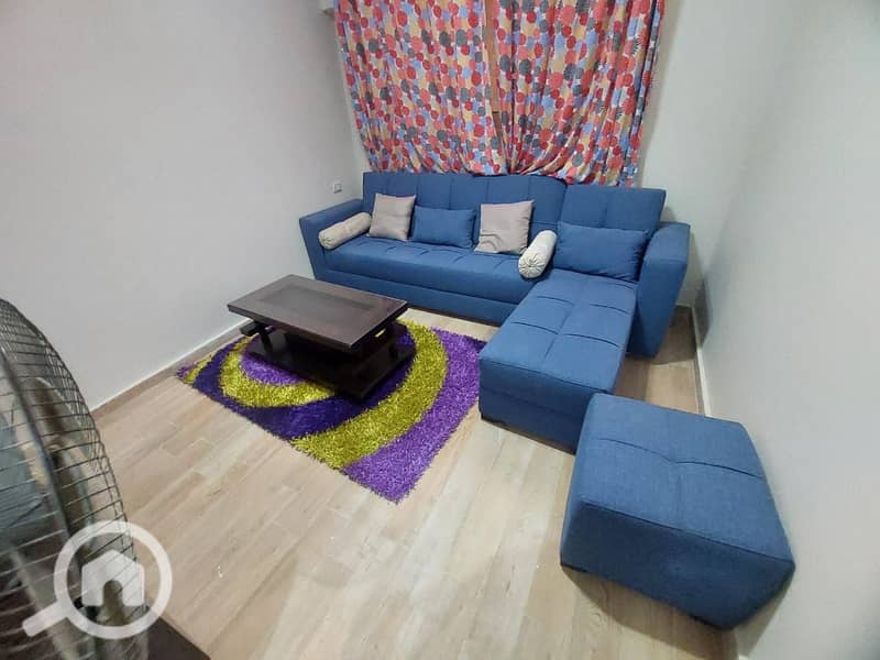 Fully furnished 180m basement apt with private & main entries, 300m private garden with storage, security cameras, and utility meter. – další