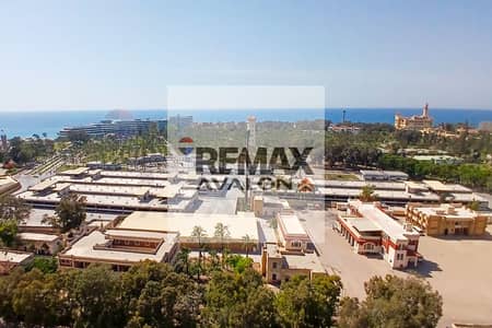 3 Bedroom Apartment for Sale in Montazah, Alexandria - 1. jpg 3 Bedroom Apartment for Sale in Montazah, Alexandria - 1. jpg