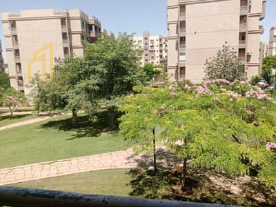 3 Bedroom Flat for Rent in Madinaty, Cairo - 97bb0035-09c1-4ecb-b24f-0f369bbbe5e0. jpg 3 Bedroom Flat for Rent in Madinaty, Cairo - 97bb0035-09c1-4ecb-b24f-0f369bbbe5e0. jpg