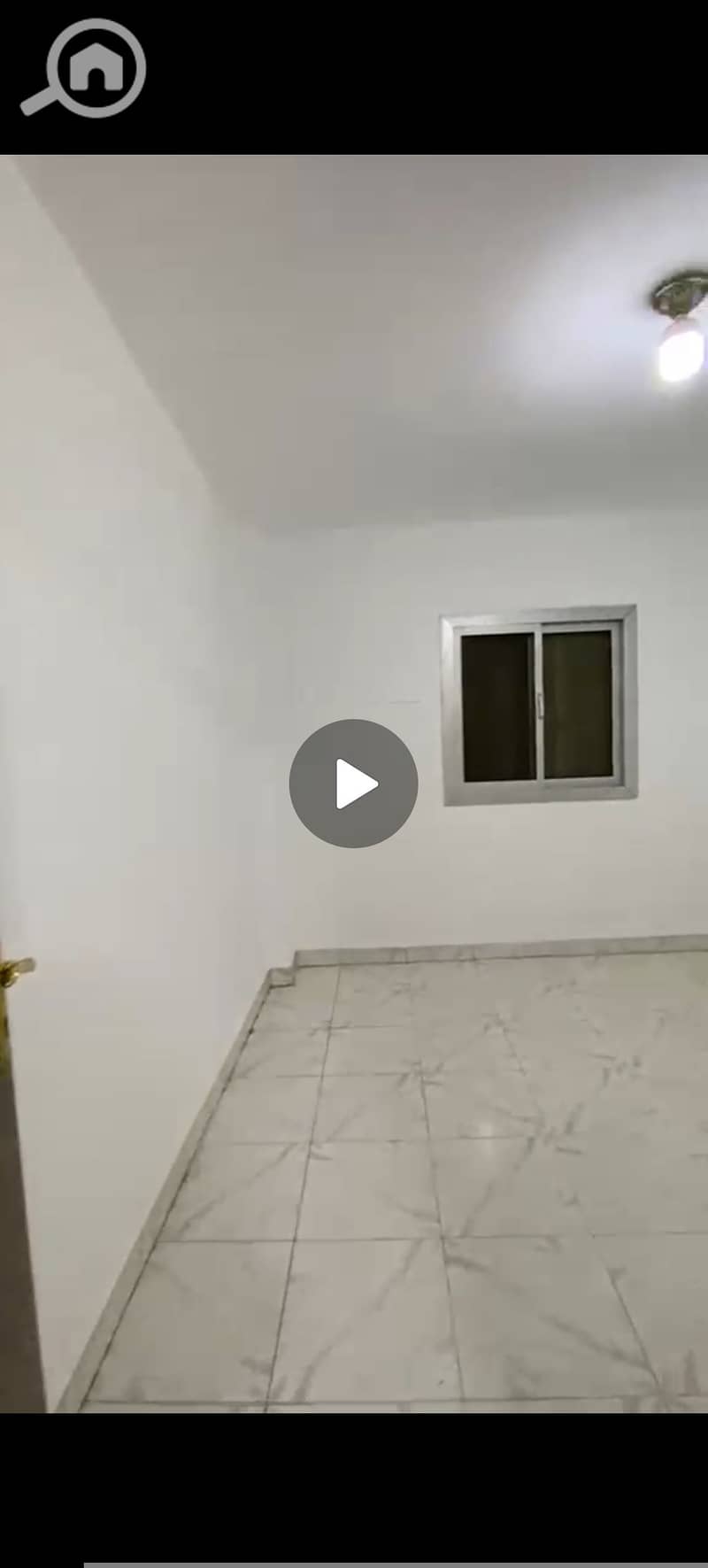 21 65139. jpg