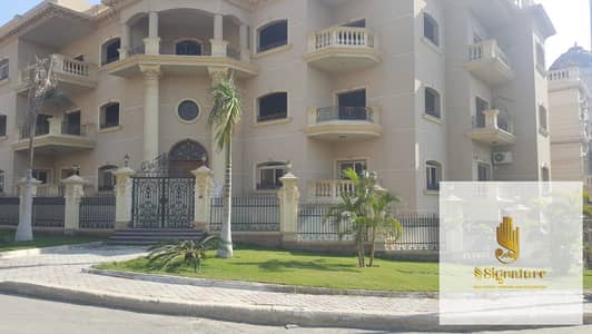 3 Bedroom Flat for Rent in Katameya, Cairo - WhatsApp Image 2026-07-14 at 16.37. 05. jpeg