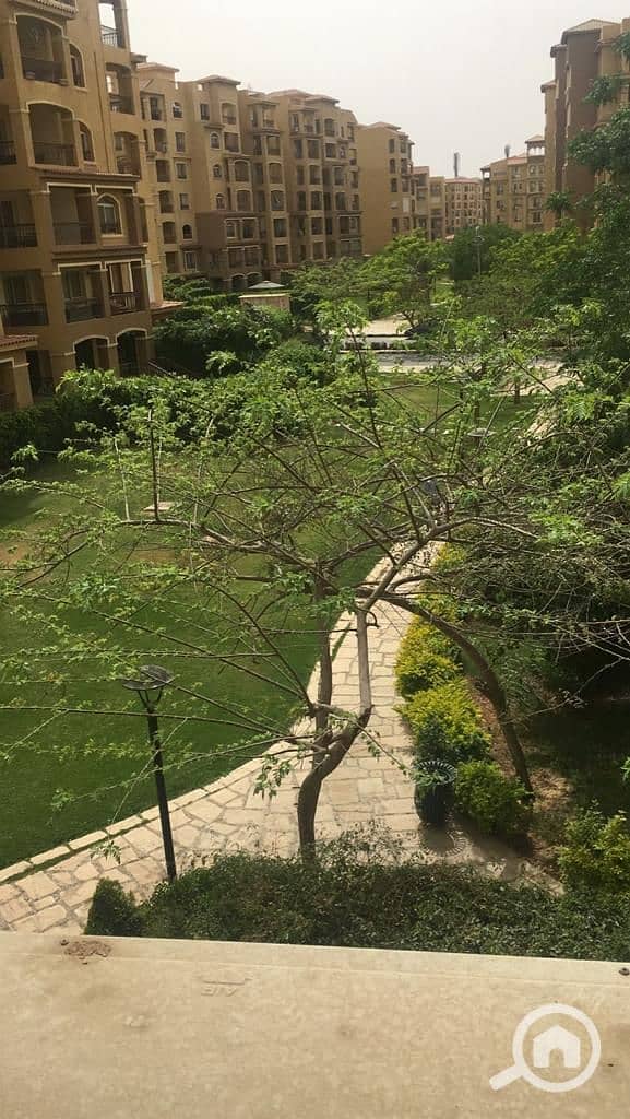 13 WhatsApp Image 2026-07-13 at 6.06. 19 PM (2). jpeg
