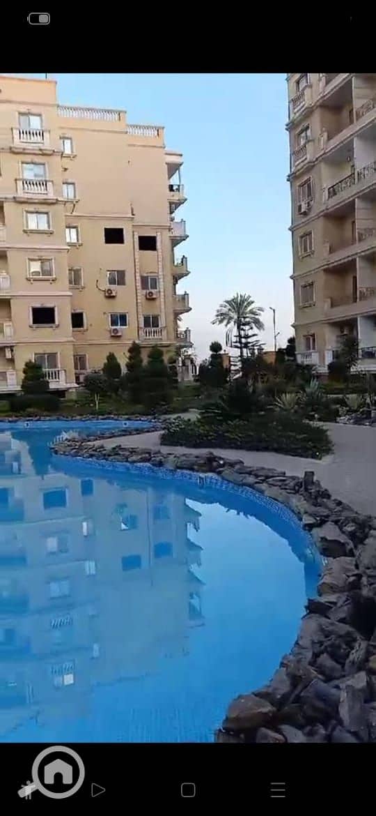 3 86585. jpg