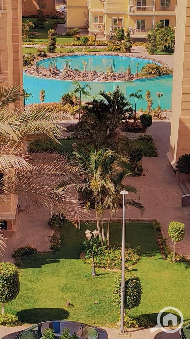 4 85453. jpg