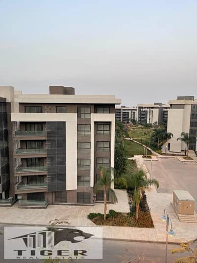 2 Bedroom Flat for Rent in Madinaty, Cairo - 1000054027. jpg 2 Bedroom Flat for Rent in Madinaty, Cairo - 1000054027. jpg