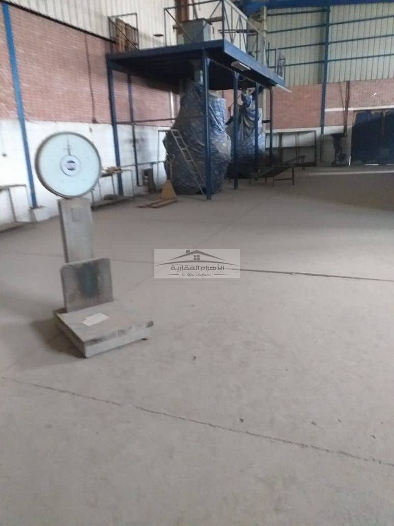 Warehouse for rent (1,200 sqm), licensed as a thermally insulated storage facility - Widok 2