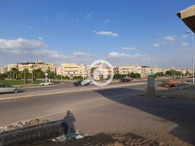 4 Bedroom Apartment for Sale in Sheikh Zayed, Giza - WhatsApp Image 2026-07-13 at 1.05. 01 PM. jpeg