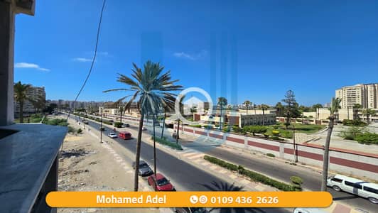 3 Bedroom Apartment for Rent in Mandara, Alexandria - 20. png 3 Bedroom Apartment for Rent in Mandara, Alexandria - 20. png