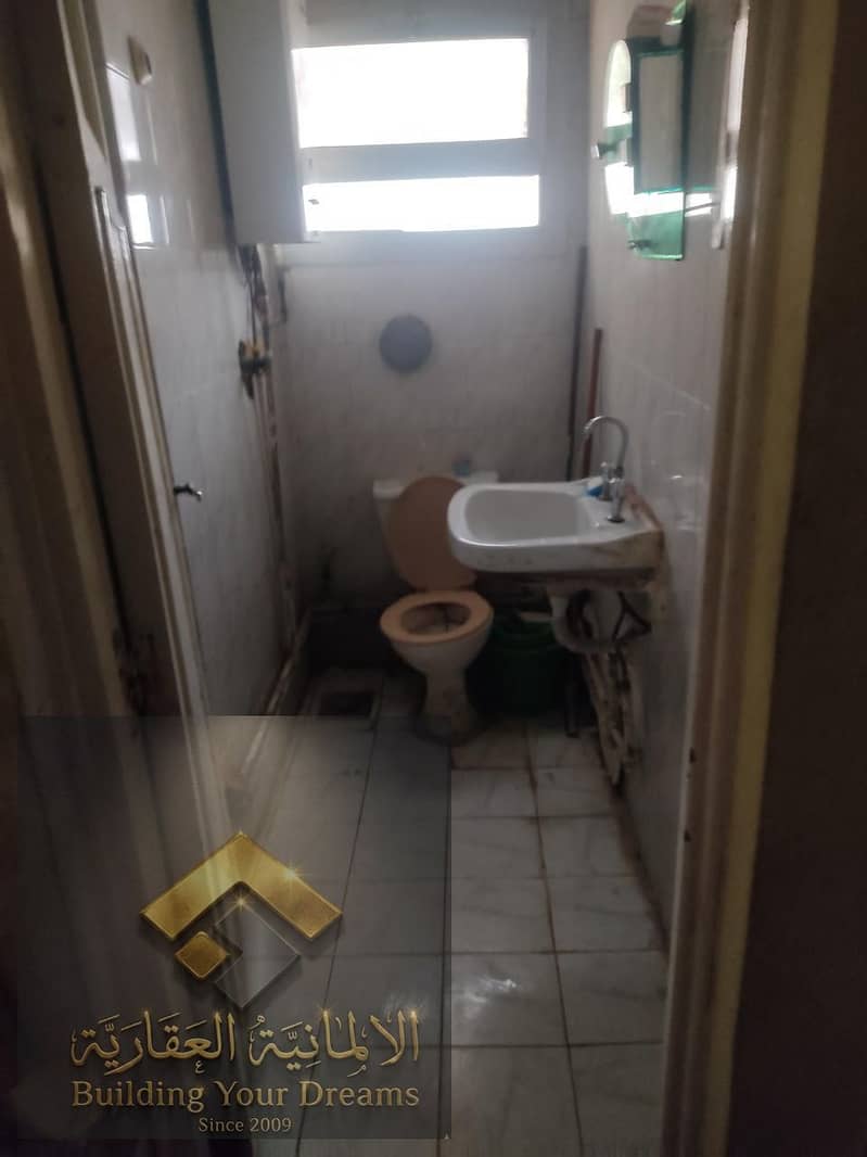 4 80366. jpg