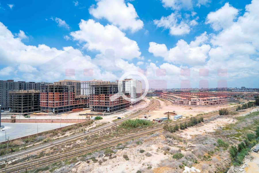 14 DSC05342. jpg