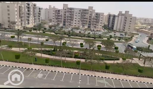 3 Bedroom Apartment for Rent in Shorouk City, Cairo - WhatsApp Image 2026-07-15 at 3.46. 58 PM (6). jpeg 3 Bedroom Apartment for Rent in Shorouk City, Cairo - WhatsApp Image 2026-07-15 at 3.46. 58 PM (6). jpeg