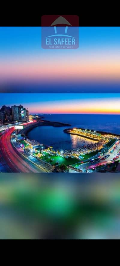 2 Bedroom Flat for Rent in Saba Pasha, Alexandria - c0a0b0bc-db7e-491e-bff0-d7604fcb9b80. jpg