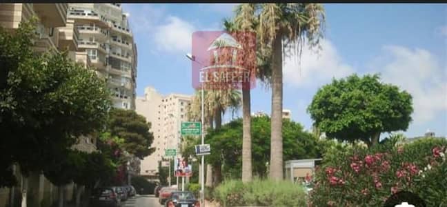 محلات تجارية للايجار في كفر عبدو، الإسكندرية - 2b5b3ec4-c26b-4faa-ad39-6e0535b65695. jpg محلات تجارية للايجار في كفر عبدو، الإسكندرية - 2b5b3ec4-c26b-4faa-ad39-6e0535b65695. jpg