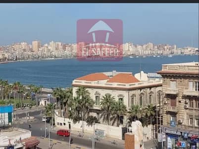 مکتب للايجار في محطة الرمل، الإسكندرية - 7f23f92d-d93e-4e64-b2b2-9f3f69dba442. jpg مکتب للايجار في محطة الرمل، الإسكندرية - 7f23f92d-d93e-4e64-b2b2-9f3f69dba442. jpg