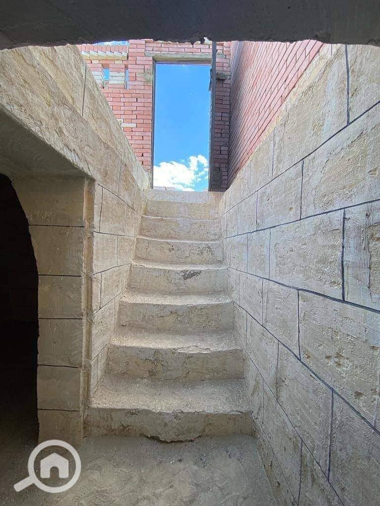 15 1000271065. jpg