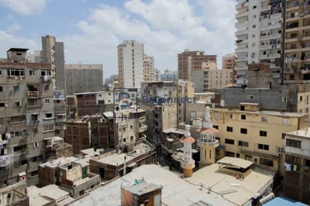 فلیٹ 3 غرف نوم للبيع في كليوباترا، الإسكندرية - IMG_6469. jpg فلیٹ 3 غرف نوم للبيع في كليوباترا، الإسكندرية - IMG_6469. jpg