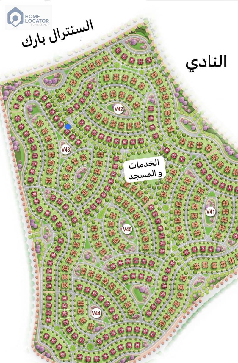 7 1000797629. jpg