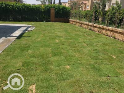 5 Bedroom Villa for Rent in New Cairo, Cairo - 6a57581112cee_WhatsApp-Image-2026-07-14-at-3.36. 36-AM-(1). jpg 5 Bedroom Villa for Rent in New Cairo, Cairo - 6a57581112cee_WhatsApp-Image-2026-07-14-at-3.36. 36-AM-(1). jpg