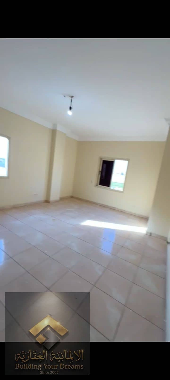 4 393099. jpg