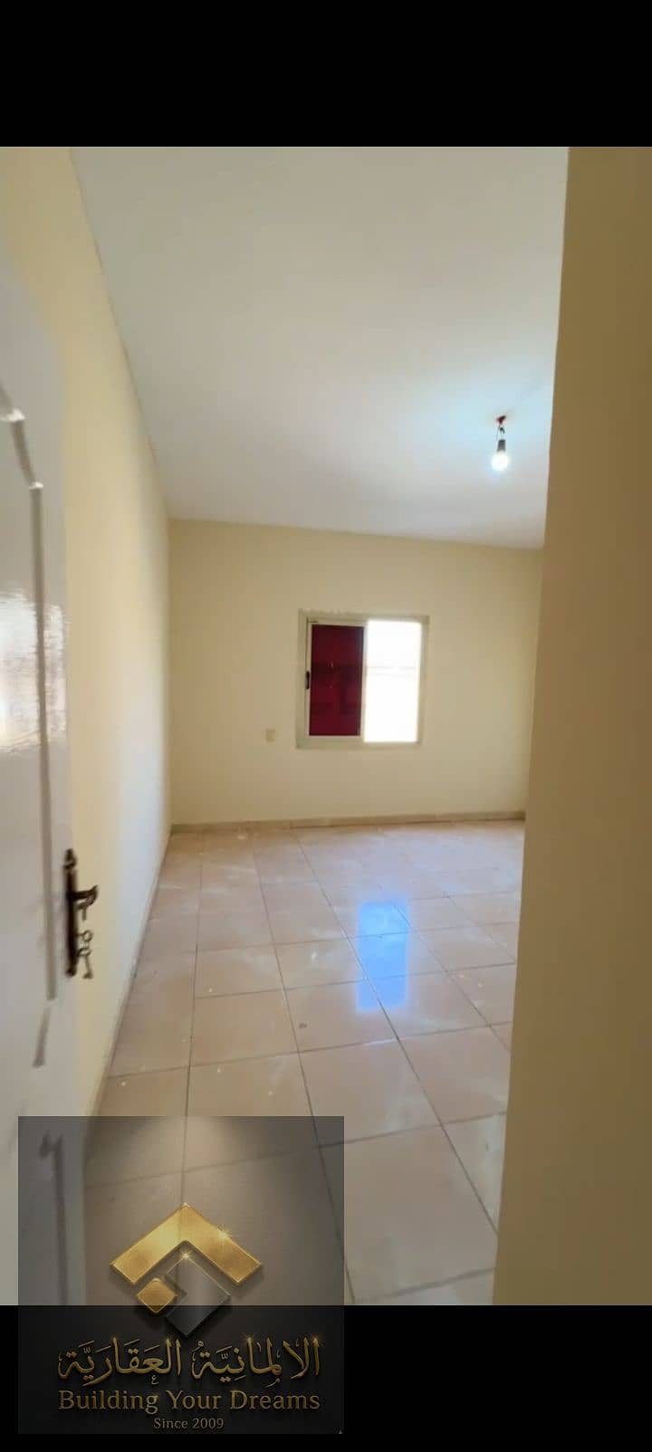 5 393095. jpg